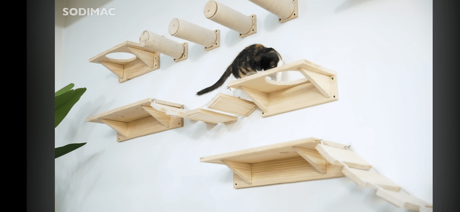 2025/10/1000092797.png 1000092797.png