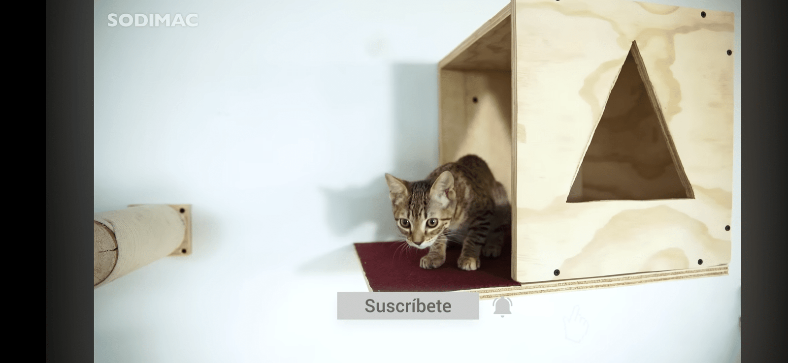 2025/10/1000092798.png 1000092798.png