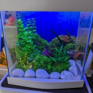 13508b74 9464 45fe a9c2 e882c0ff4c5d 1 all 26795.jpg